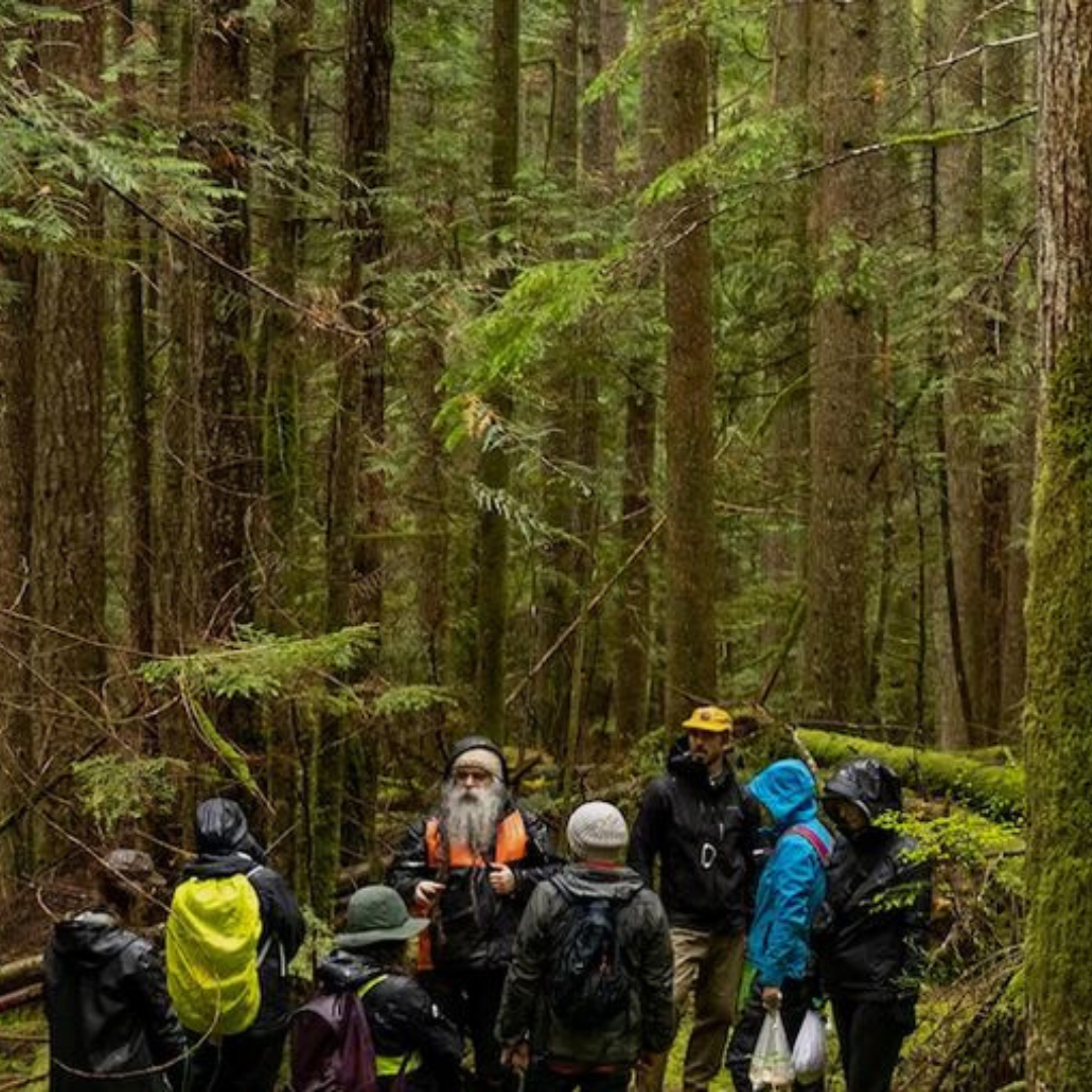 Shaggy Jack's Wild Mushroom Foraging in forest on Sunshine Coast, British Columbia