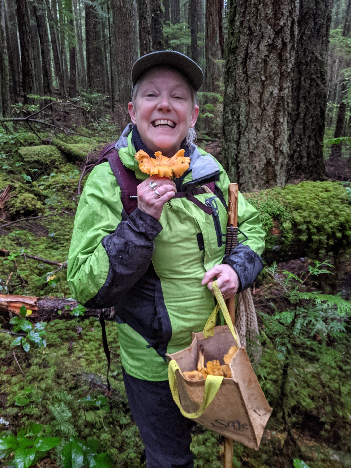 Wild Mushroom Foraging Excursion 2025