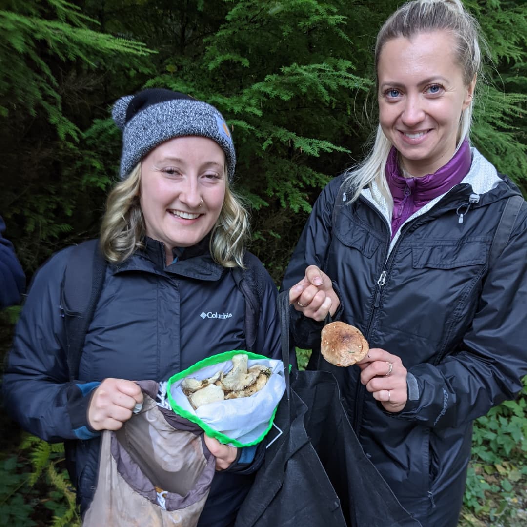 Wild Mushroom Foraging Excursion 2025