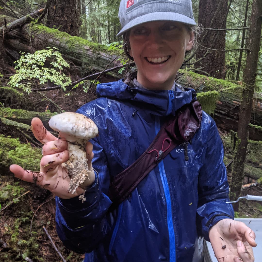 Wild Mushroom Foraging Excursion 2025