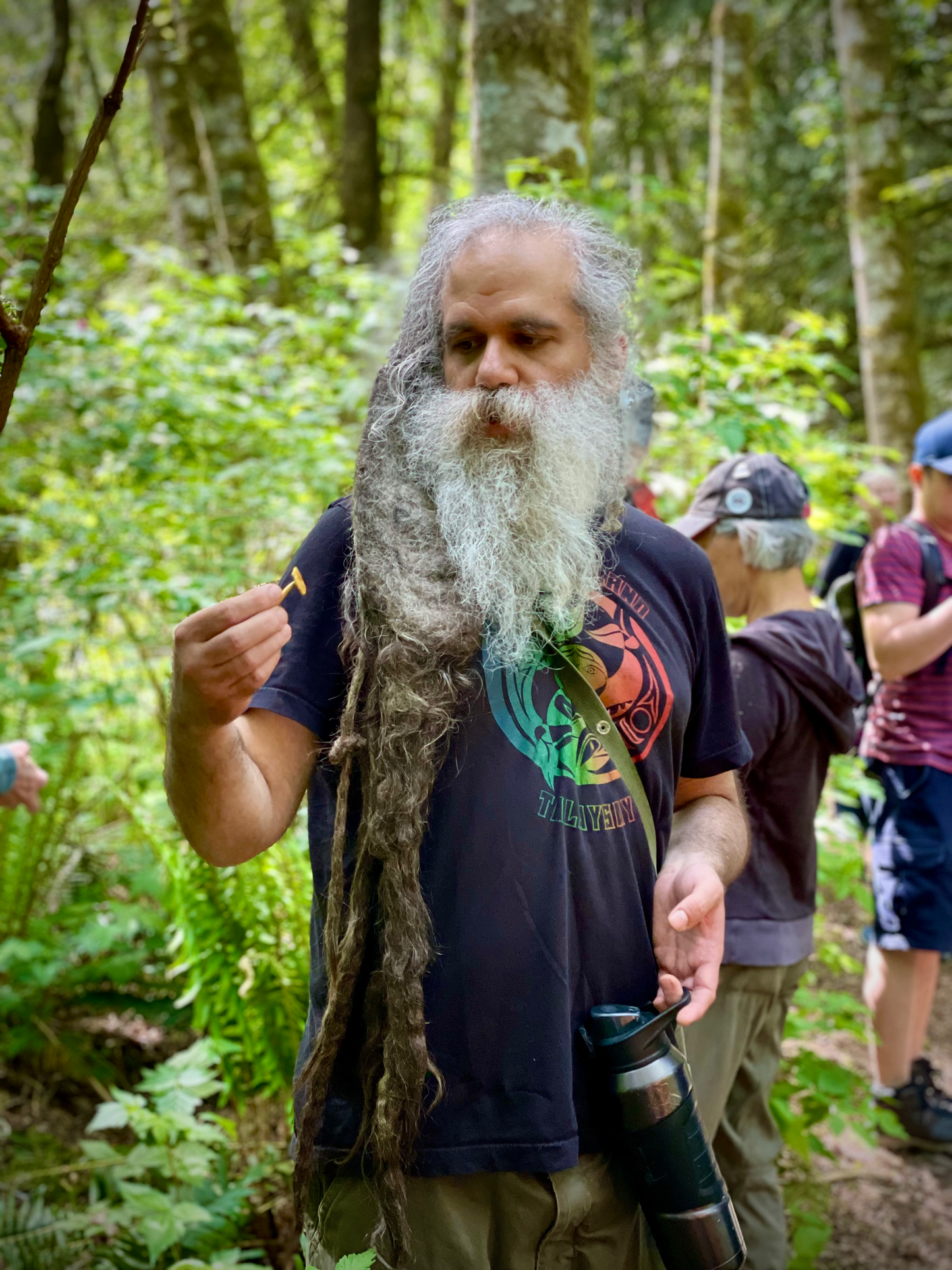 Introduction To Medicinal Mushrooms