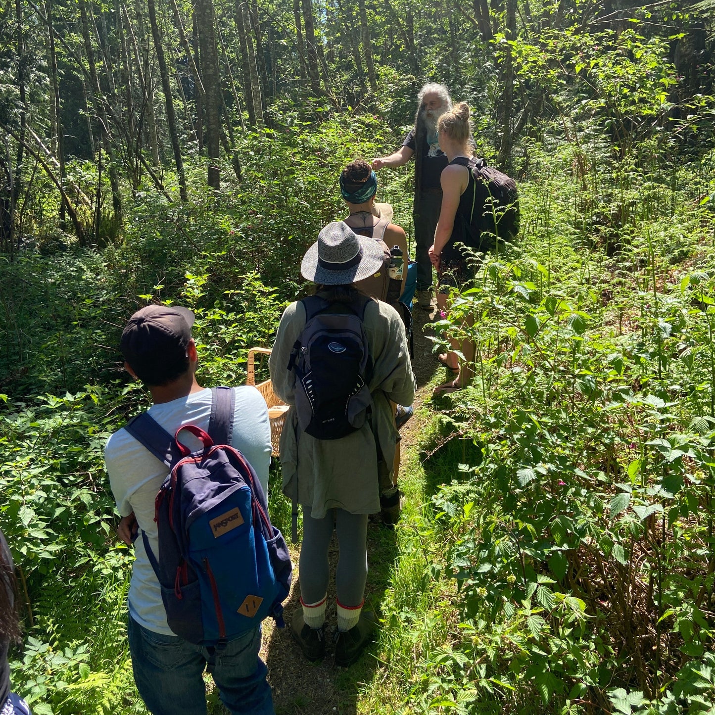 Spring Wild Mushroom Foraging Walk: In-Person Class + Forest Walk
