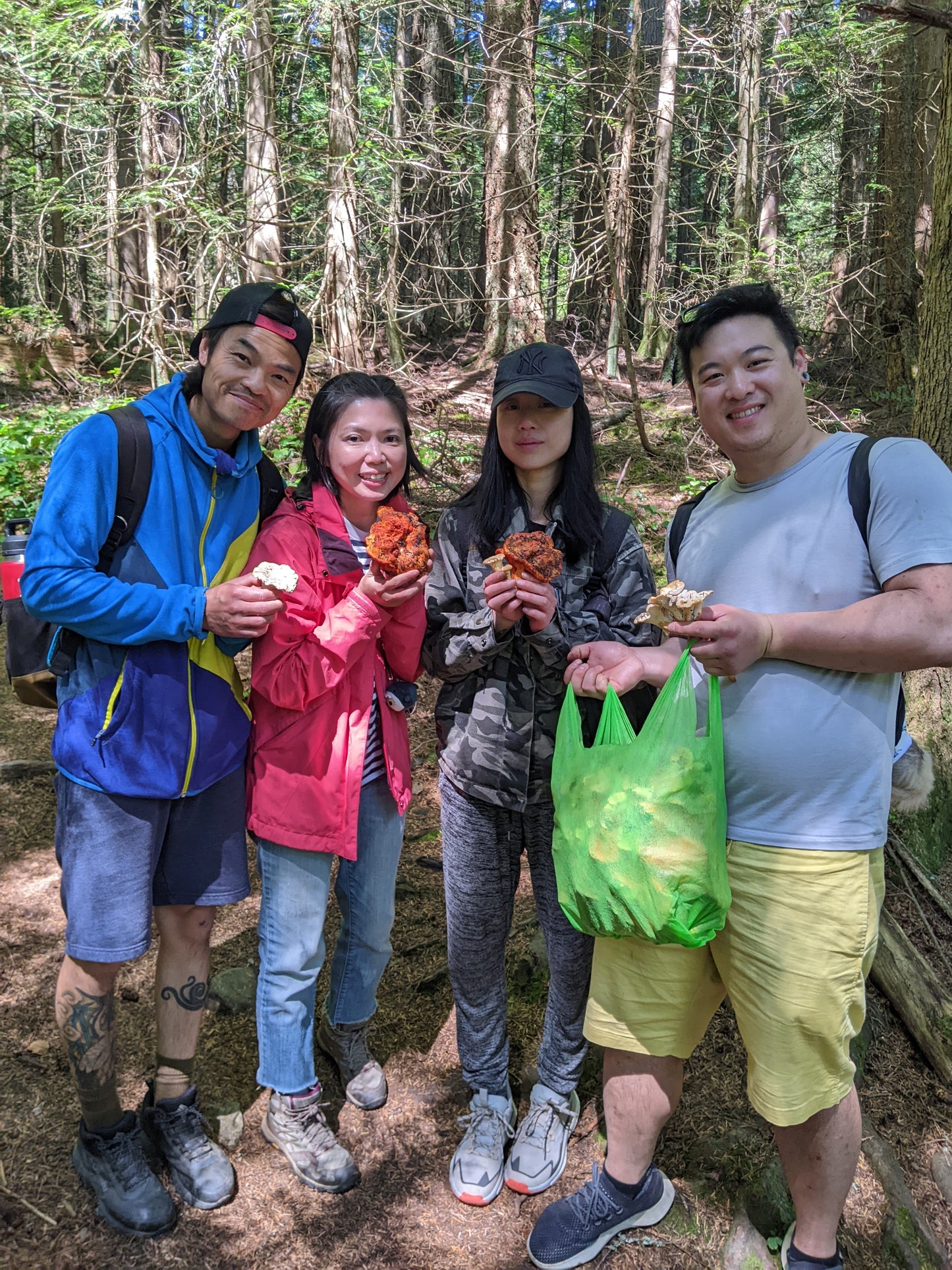 Wild Mushroom Foraging For Beginners: Class + Forest Walk 2025