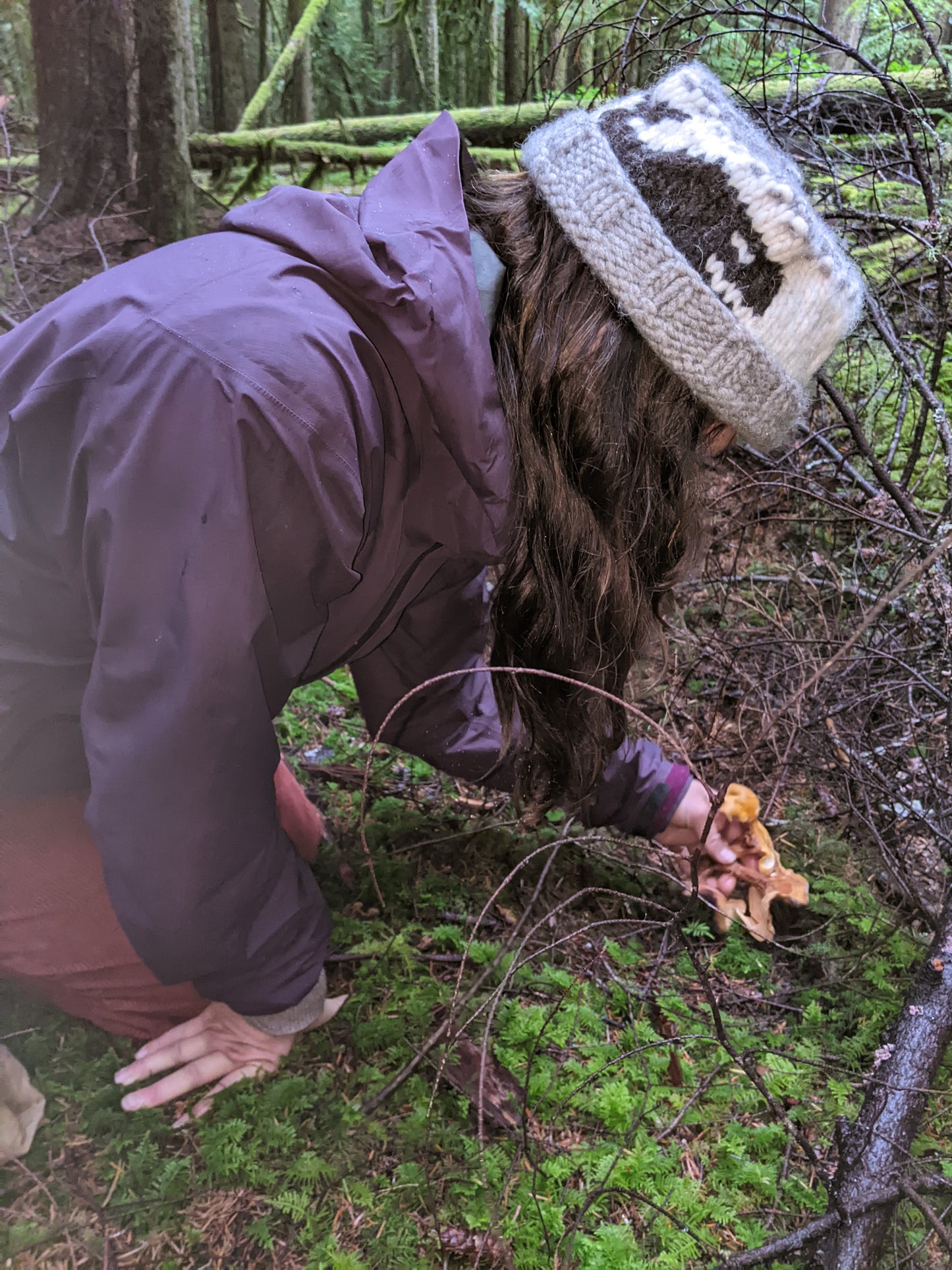 Foraged: A Wild Mushroom Retreat