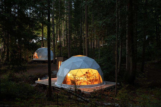 Foraged: A Wild Mushroom Retreat