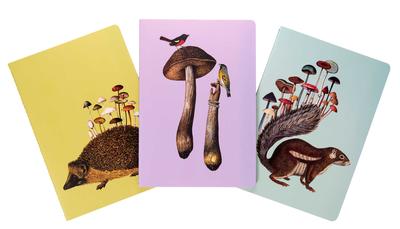 Art of Nature Fungi Collection Note Card Set