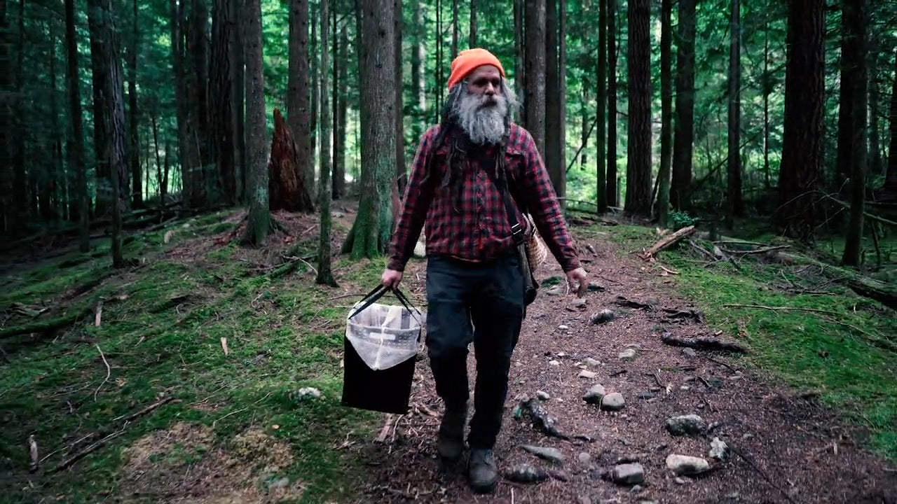Shaggy Jack Foraging Wild Mushrooms in British Columbia forest