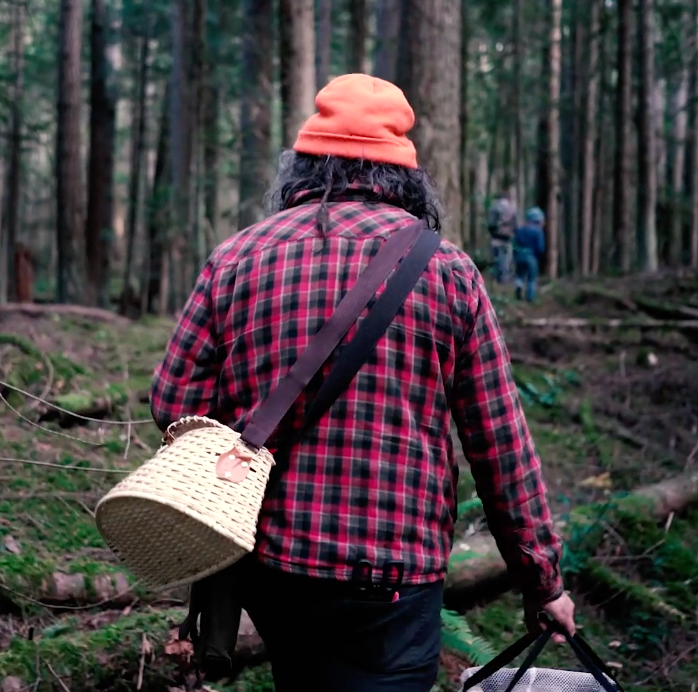 Wild Mushroom Foraging For Beginners (Zoom Class + Forest Walk)