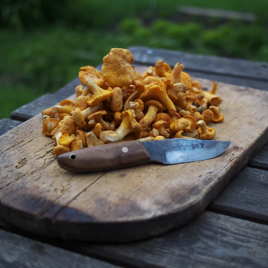 Forest Forage & Feast 2025