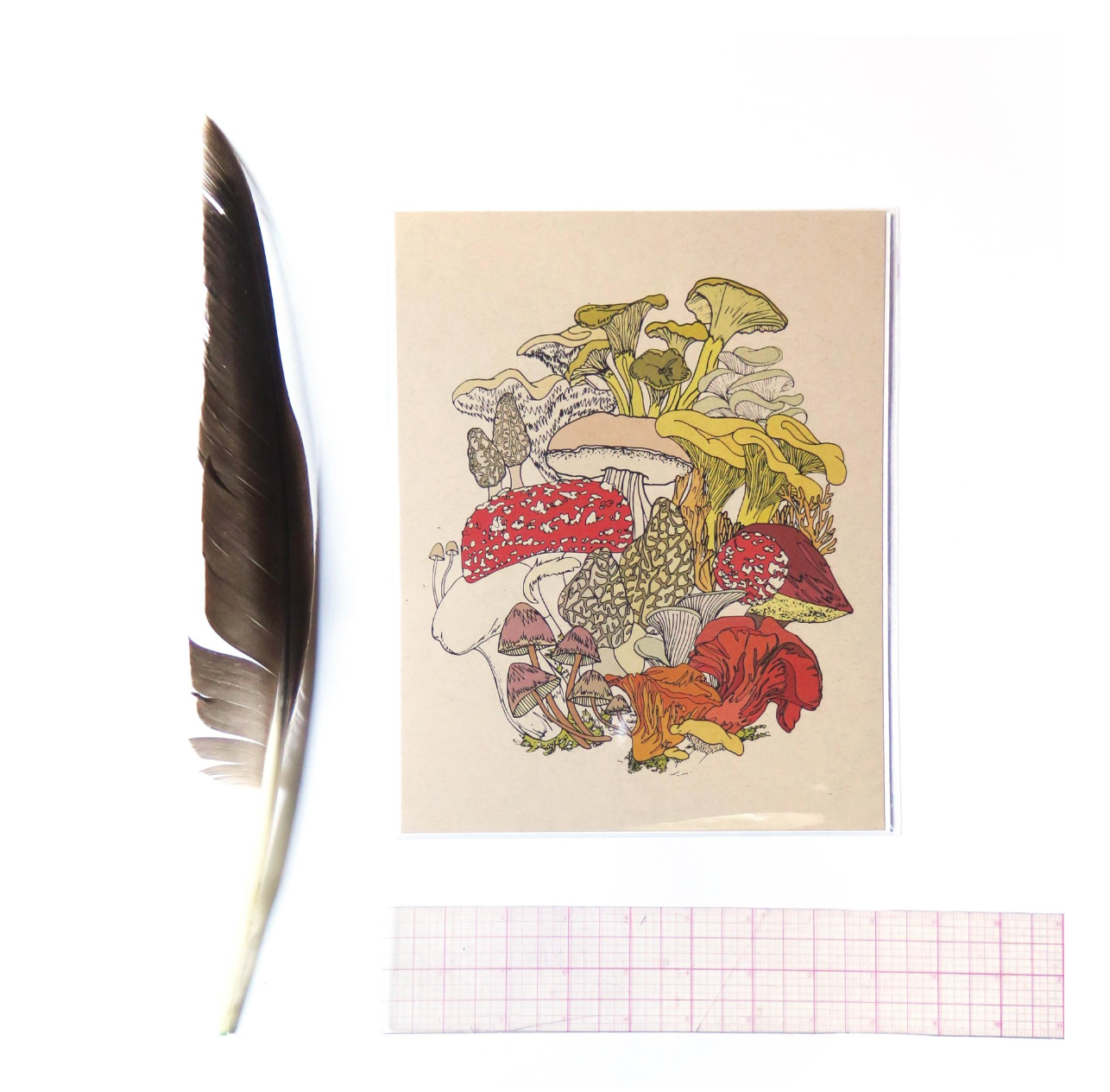Wild Life Illustration Co. Small Mushroom Print