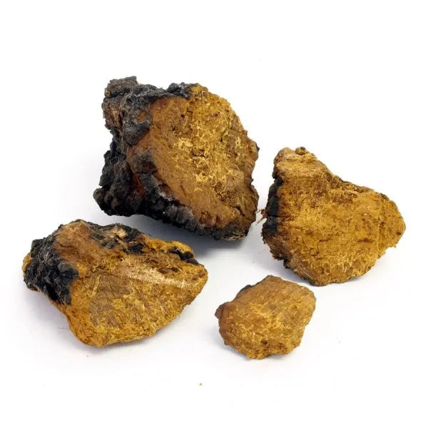 Shaggy Jack Dried Chaga Chunks