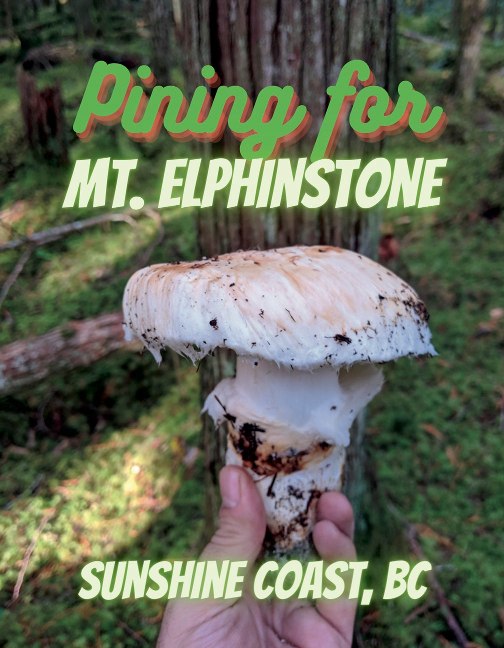 Shaggy Jack's Pining For Mt. Elphinstone T-Shirt