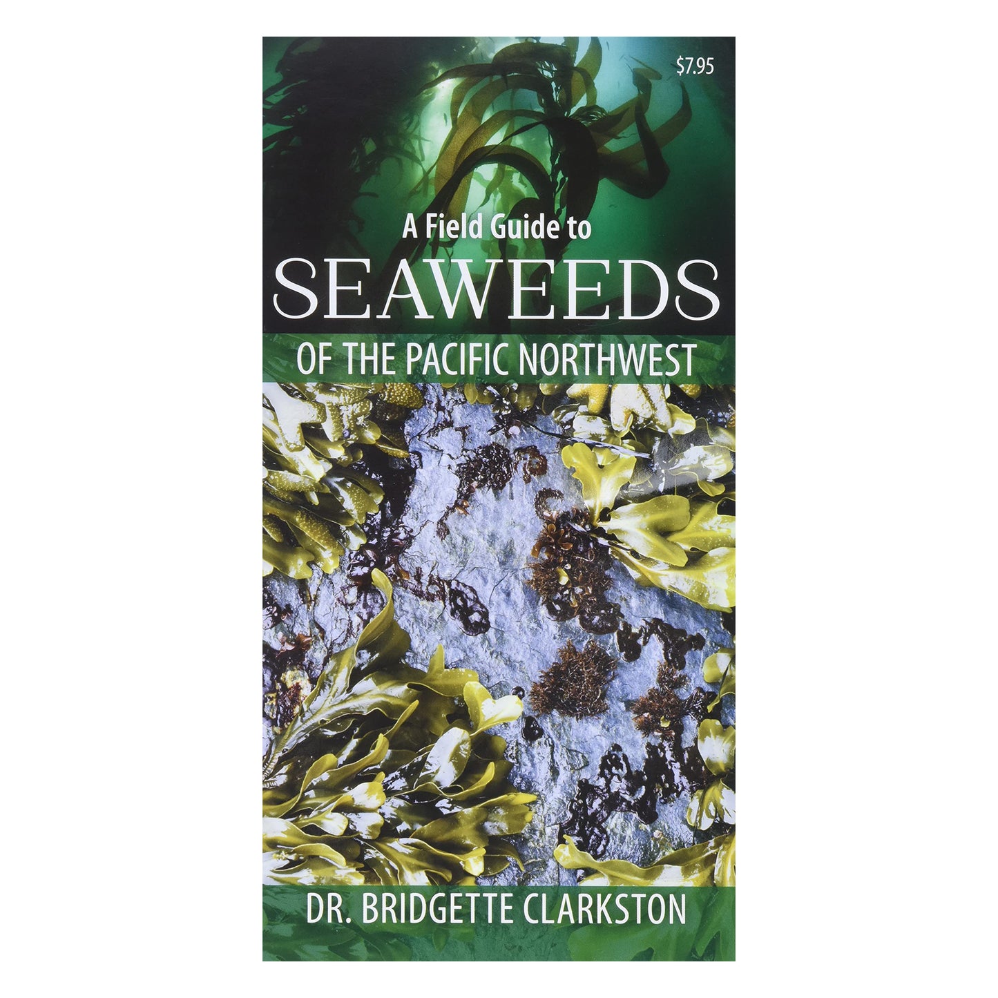 A Field Guide to Seaweeds of the Pacific Northwest by Dr. Bridgette Clarkston