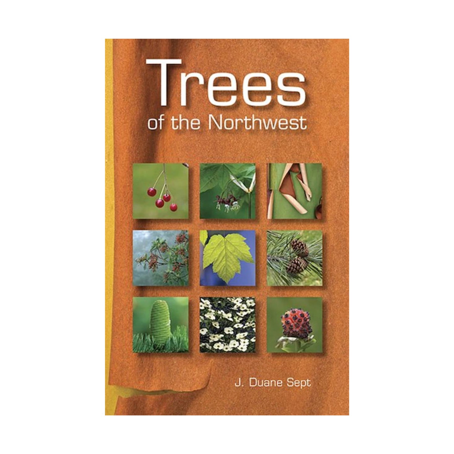 Trees of the Northwest by Duane Sept