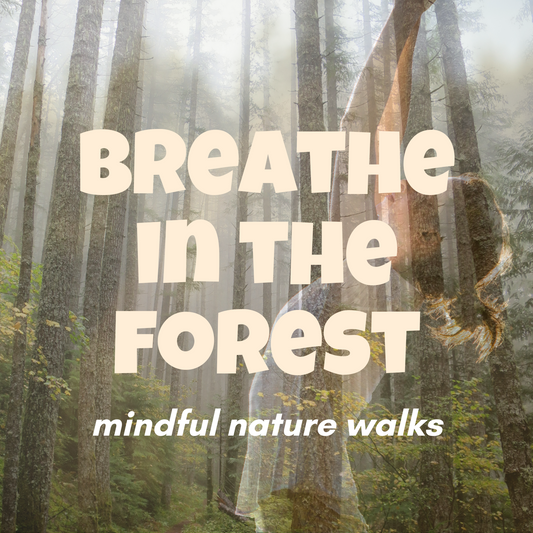 Breathe In The Forest: Mindful Nature Walks