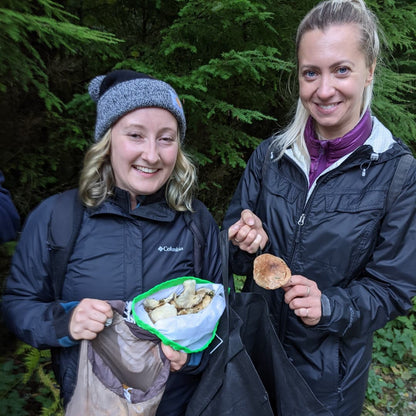 Wild Mushroom Foraging Excursion