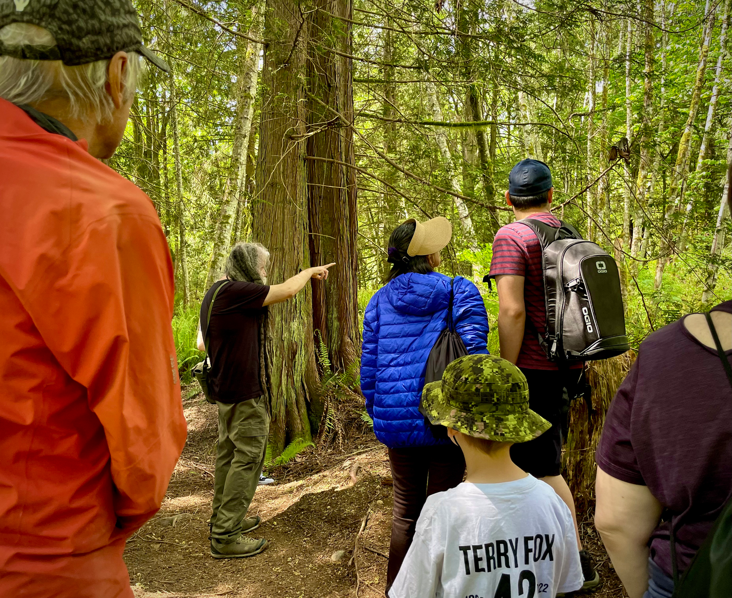 Wild Mushroom Foraging For Beginners: Spring 2026