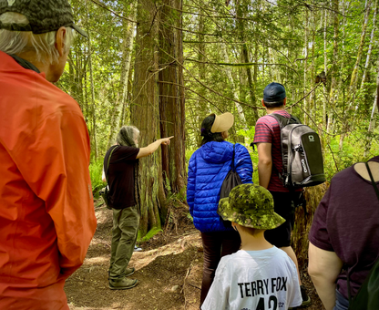 Wild Mushroom Foraging For Beginners: Spring 2026