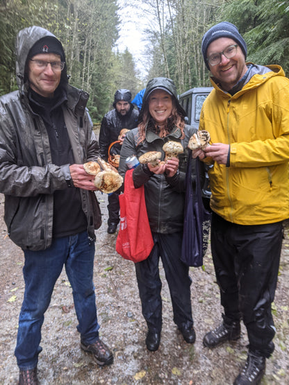 Wild Mushroom Foraging Excursion