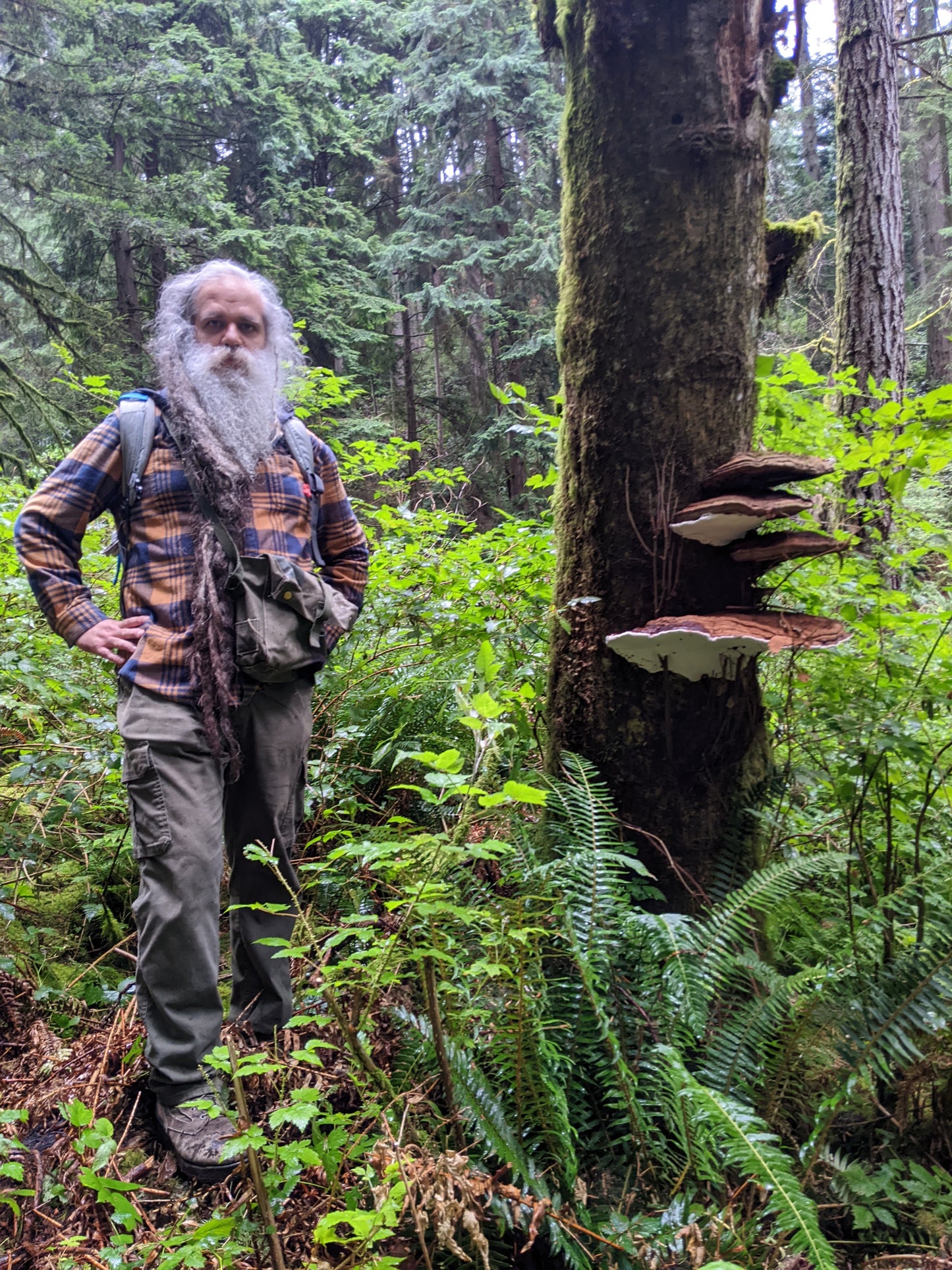 Wild Mushroom Foraging For Beginners: Spring 2026