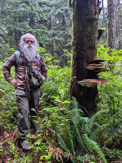 Wild Mushroom Foraging For Beginners: Spring 2026