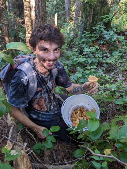 Forest Foraging Hike - Spring/Summer