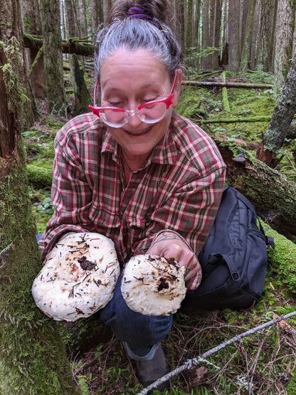 Wild Mushroom Foraging For Beginners: Class + Forest Walk 2025