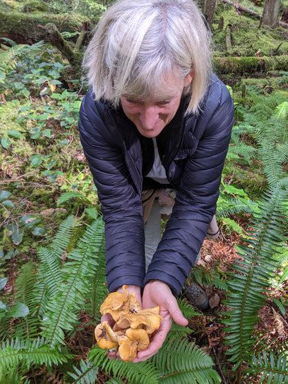 Foraged: A Wild Mushroom Retreat