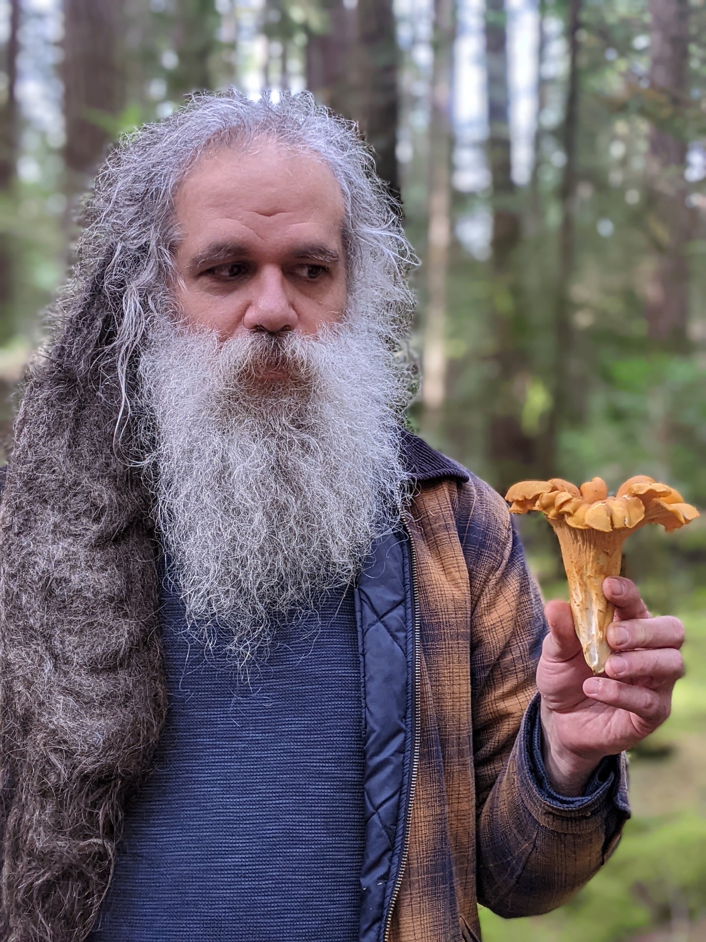 Foraged: A Wild Mushroom Retreat