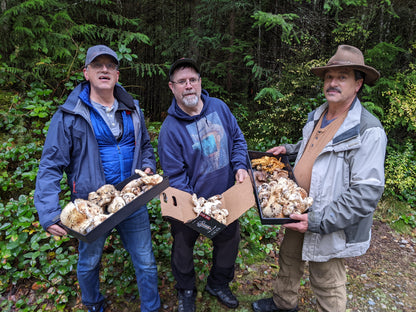 Wild Mushroom Foraging For Beginners: Class + Forest Walk 2025