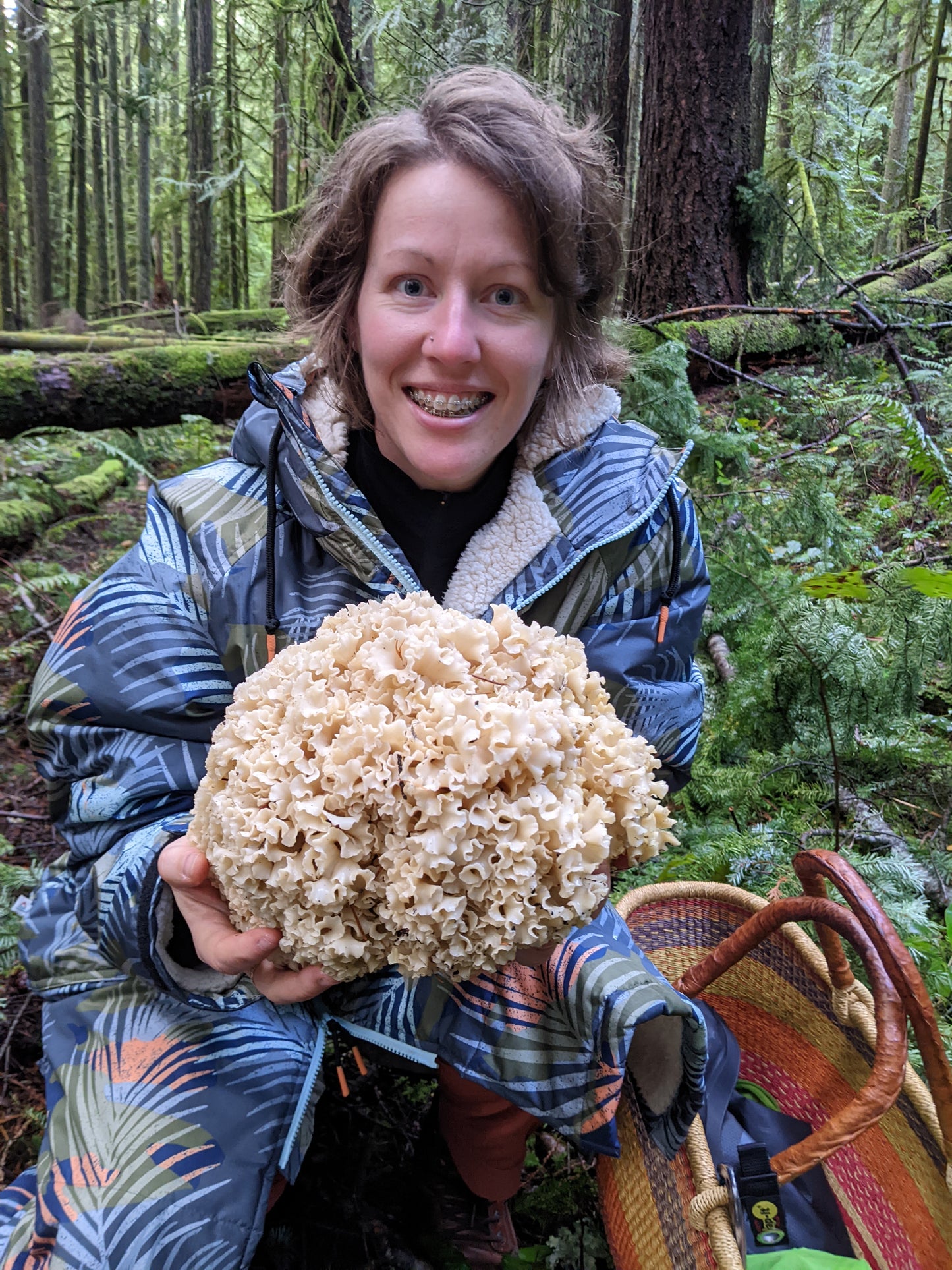 Wild Mushroom Foraging For Beginners: Class + Forest Walk 2025