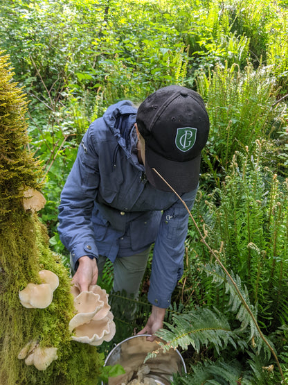 Wild Mushroom Foraging For Beginners: Spring 2026
