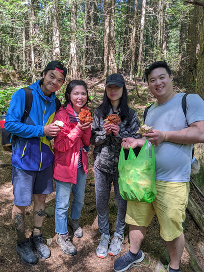 Wild Mushroom Foraging For Beginners: Class + Forest Walk 2025
