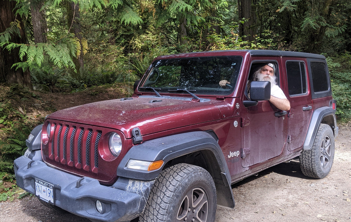 4 x Forage: Exploring Backroads For Wild Mushrooms