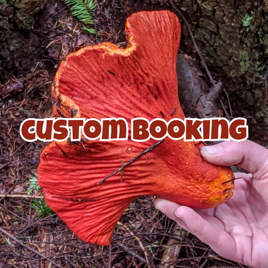 Custom Booking