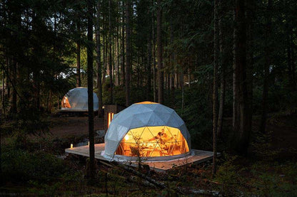 Foraged: A Wild Mushroom Retreat