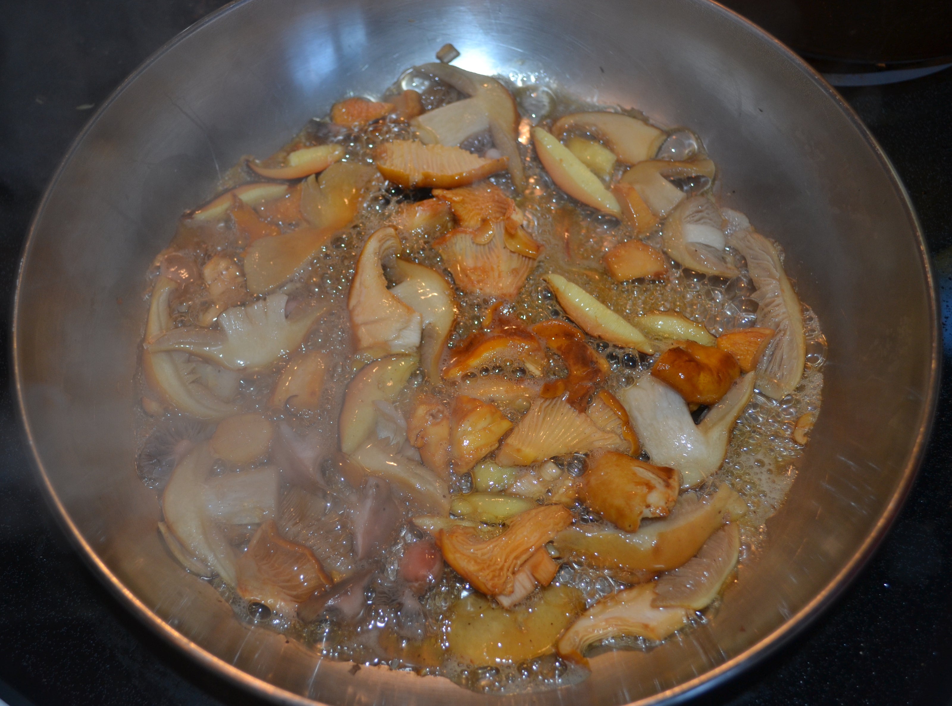 Wild Mushrooms freshly foraged cooking in a frying pan