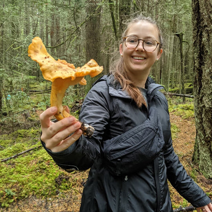 Wild Mushroom Foraging For Beginners (Zoom Class + Forest Walk)
