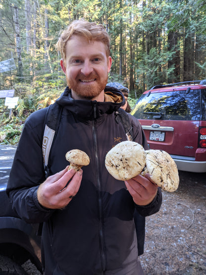 Wild Mushroom Foraging For Beginners (In-Person Class + Forest Walk)