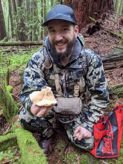 Wild Mushroom Foraging Adventure (Intermediate)