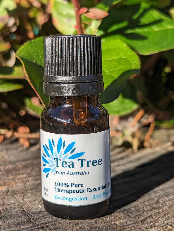 Soulful Indulgence Essential Oil Tea Tree