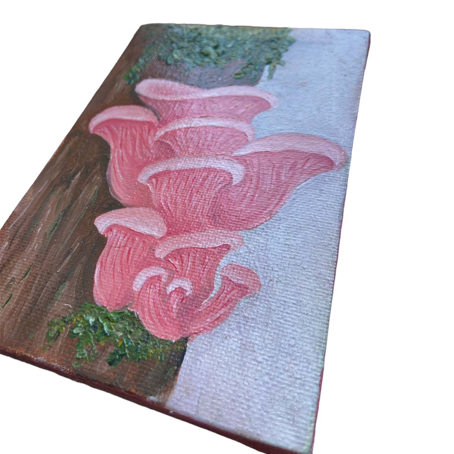 Pink Oyster Mushroom on Canvas Artwork by Paige