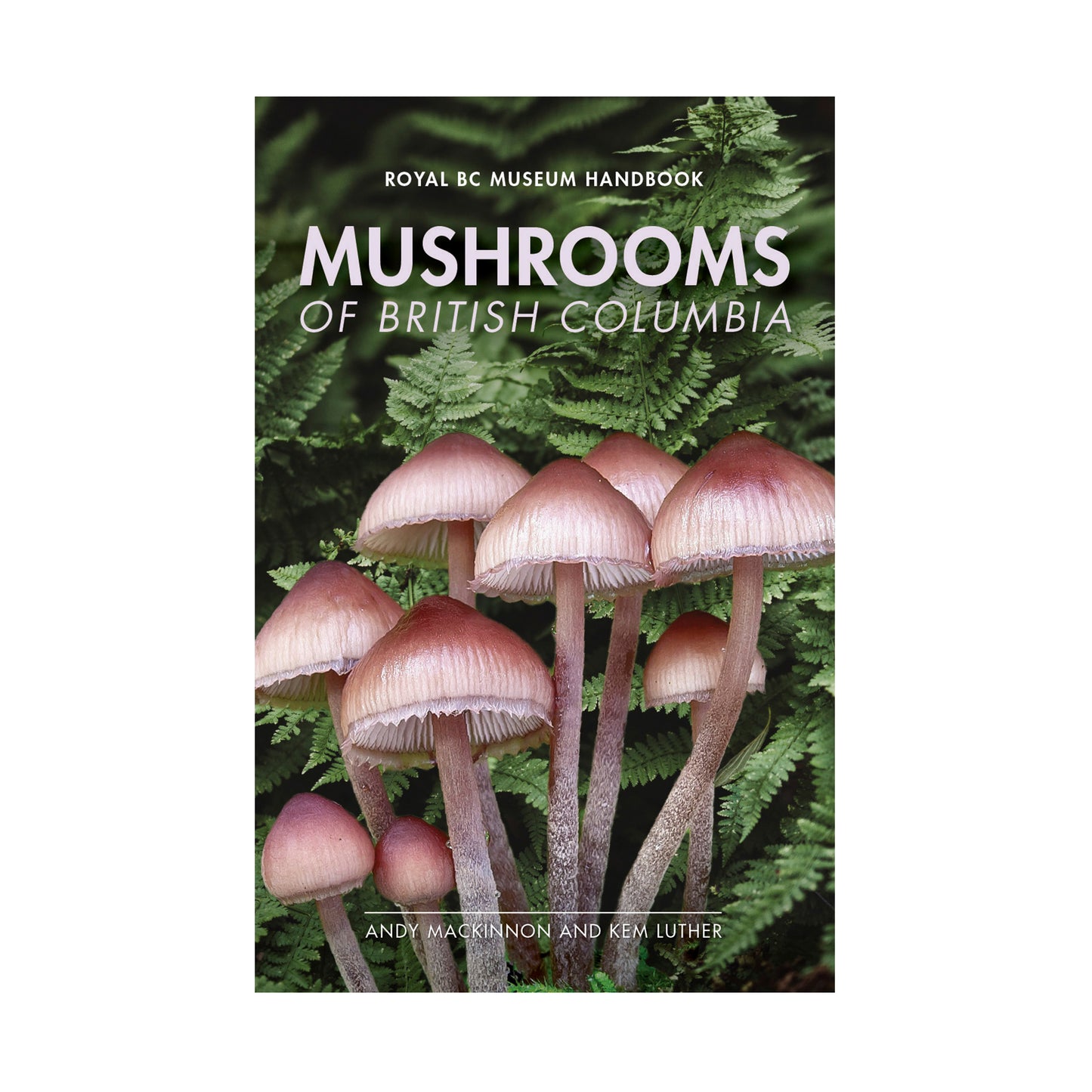 Mushrooms of British Columbia by Andy Mackinnon and Kem Luther