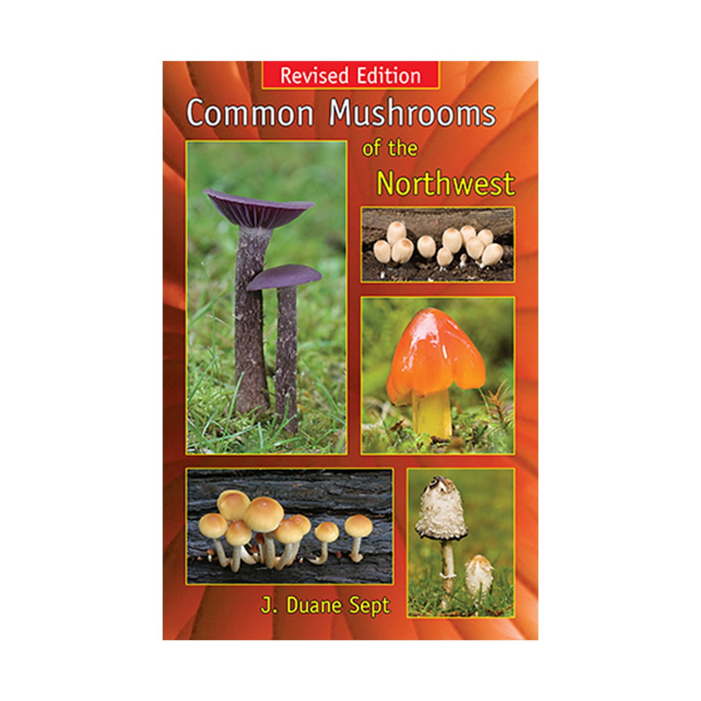 Common Mushrooms of the Northwest by J Duane Sept