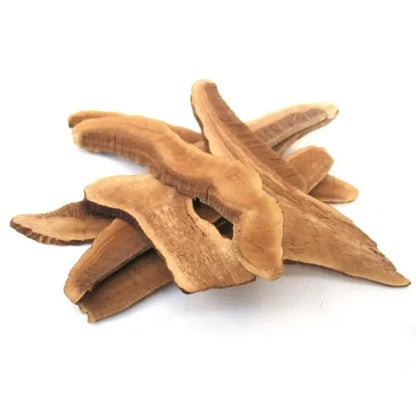 Shaggy Jack's Dried Reishi
