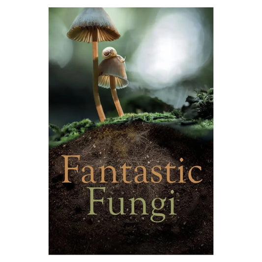 Fantastic Fungi Screening & Discussion