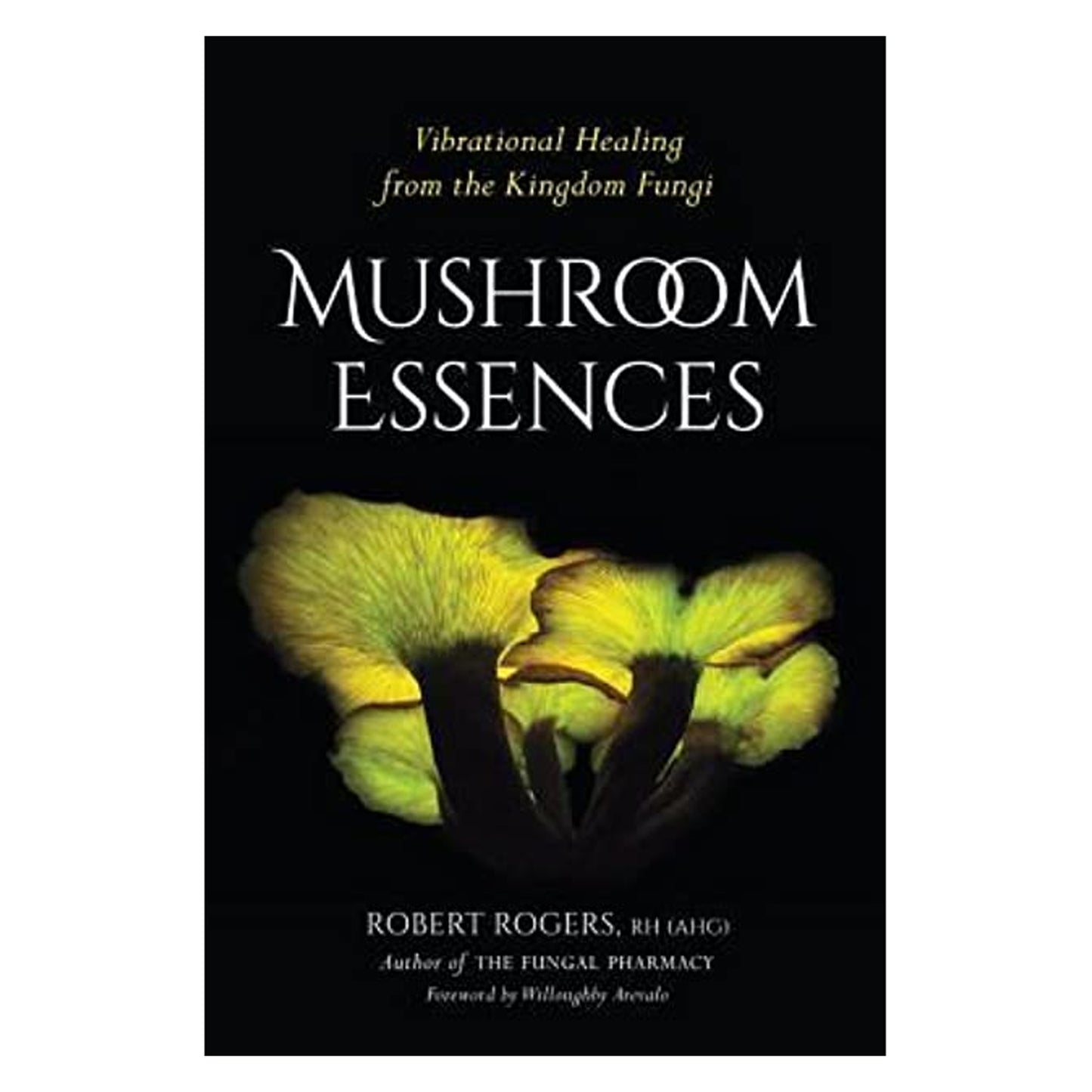 Mushroom Essences by Robert Rogers
