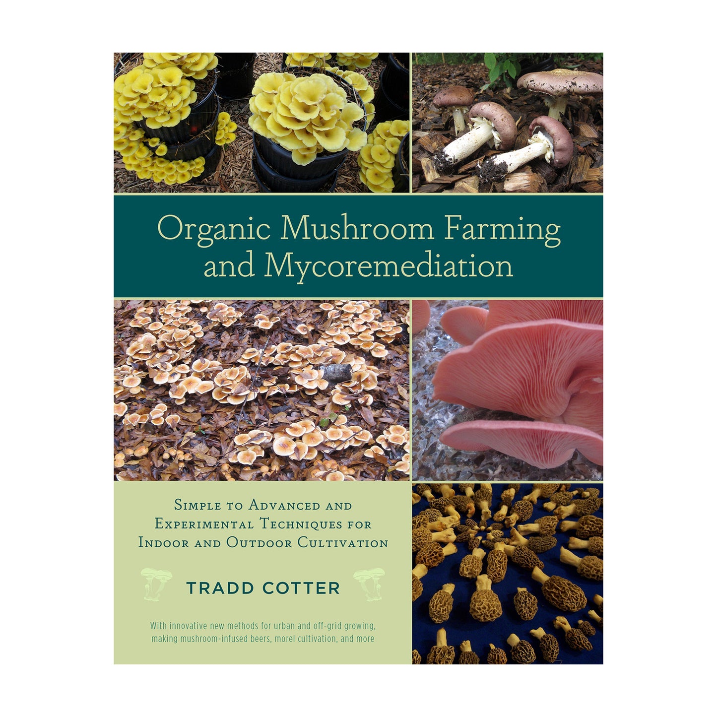Organic Mushroom Farming and Mycoremdiation by Tradd Cotter