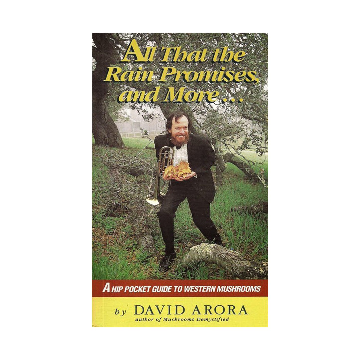 All That the Rain Promises and More by David Arora