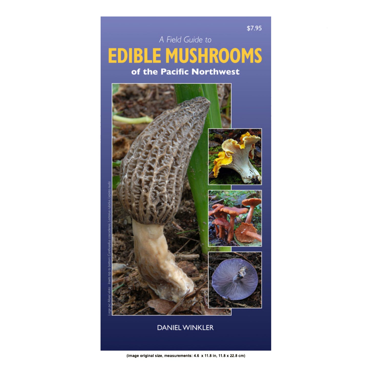 A Field Guide to Edible Mushrooms of the Pacific Northwest by Daniel Winkler